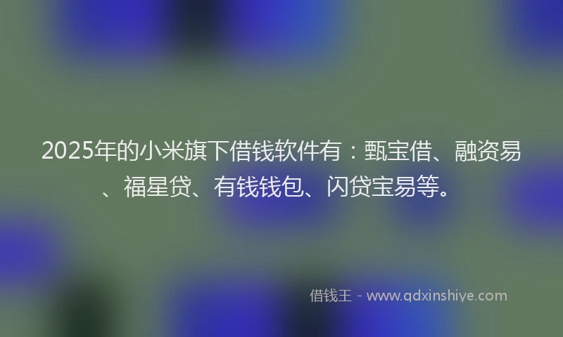 2025年的小米旗下借钱软件有：甄宝借、融资易、福星贷、有钱钱包、闪贷宝易等。