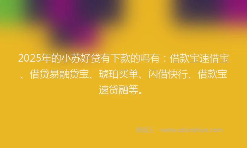 2025年的小苏好贷有下款的吗有：借款宝速借宝、借贷易融贷宝、琥珀买单、闪借快行、借款宝速贷融等。