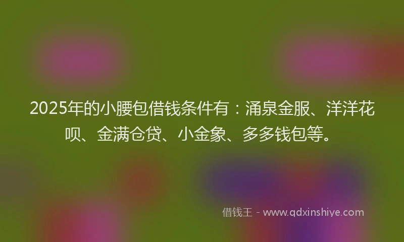 2025年的小腰包借钱条件有：涌泉金服、洋洋花呗、金满仓贷、小金象、多多钱包等。