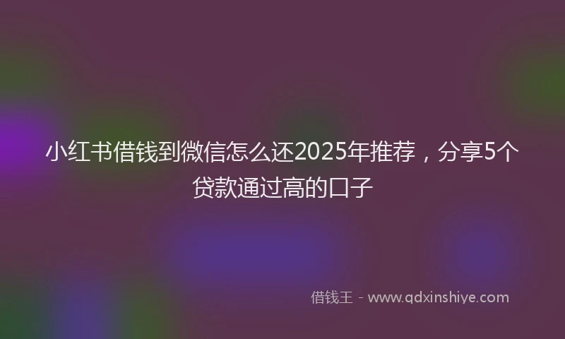 小红书借钱到微信怎么还2025年推荐，分享5个贷款通过高的口子