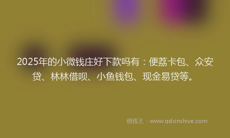2025年的小微钱庄好下款吗有：便荔卡包、众安贷、林林借呗、小鱼钱包、现金易贷等。