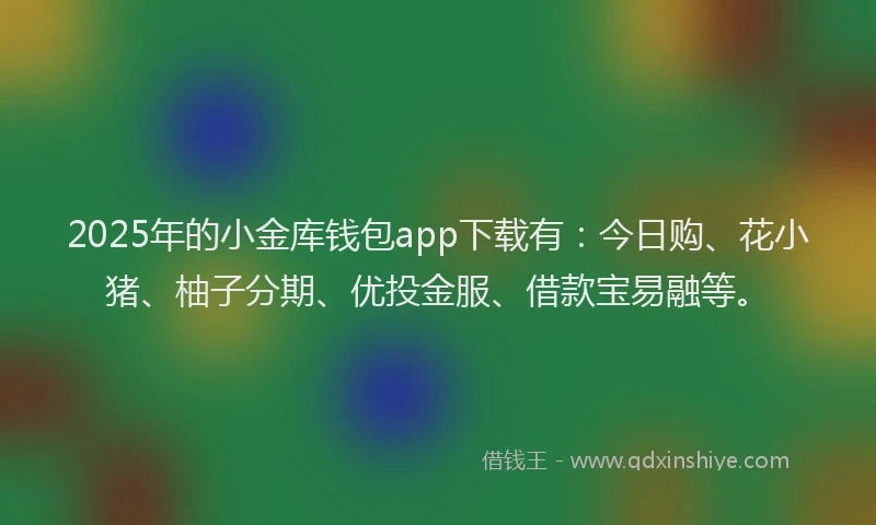 2025年的小金库钱包app下载有：今日购、花小猪、柚子分期、优投金服、借款宝易融等。