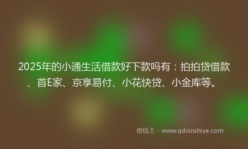 2025年的小通生活借款好下款吗有：拍拍贷借款、首E家、京享易付、小花快贷、小金库等。