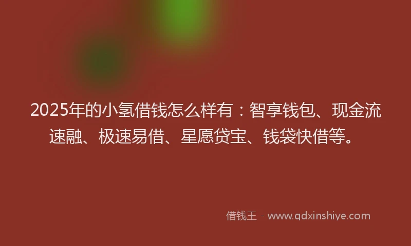2025年的小氢借钱怎么样有：智享钱包、现金流速融、极速易借、星愿贷宝、钱袋快借等。