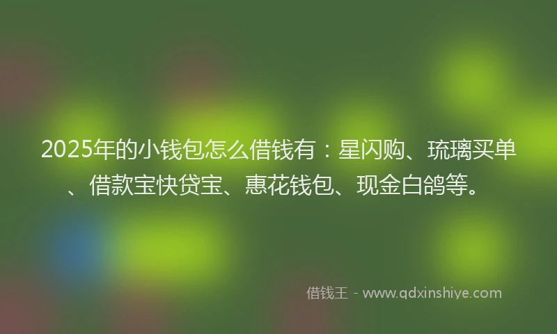 2025年的小钱包怎么借钱有：星闪购、琉璃买单、借款宝快贷宝、惠花钱包、现金白鸽等。
