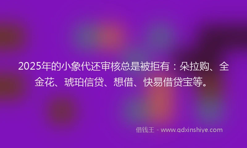 2025年的小象代还审核总是被拒有：朵拉购、全金花、琥珀信贷、想借、快易借贷宝等。