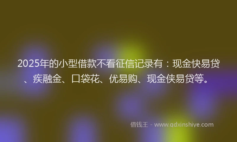 2025年的小型借款不看征信记录有：现金快易贷、疾融金、口袋花、优易购、现金侠易贷等。