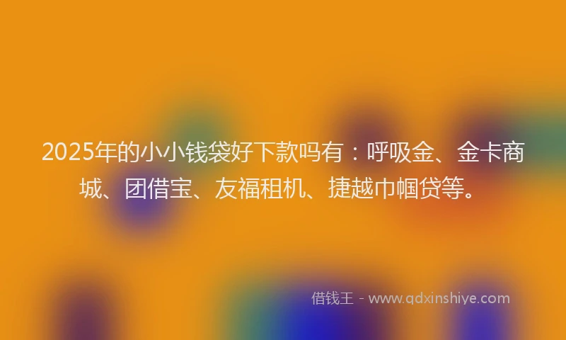 2025年的小小钱袋好下款吗有：呼吸金、金卡商城、团借宝、友福租机、捷越巾帼贷等。