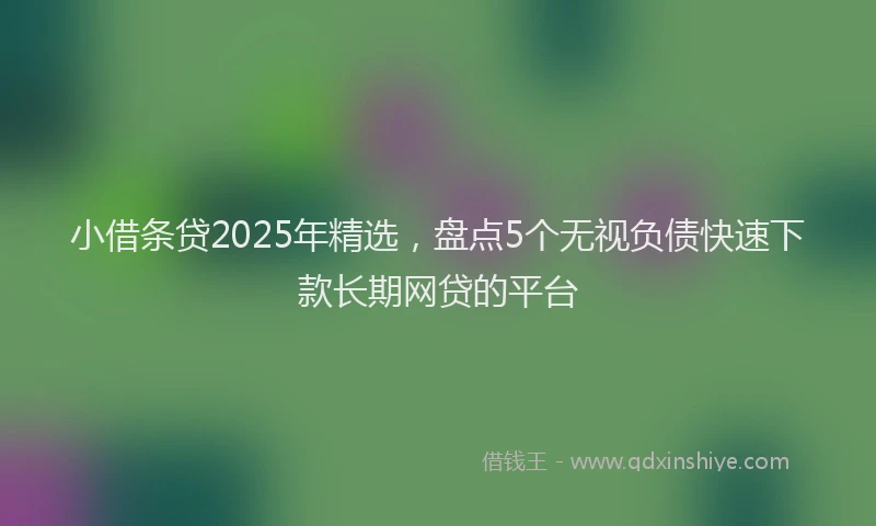小借条贷2025年精选，盘点5个无视负债快速下款长期网贷的平台