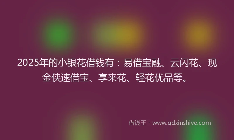 2025年的小银花借钱有：易借宝融、云闪花、现金侠速借宝、享来花、轻花优品等。