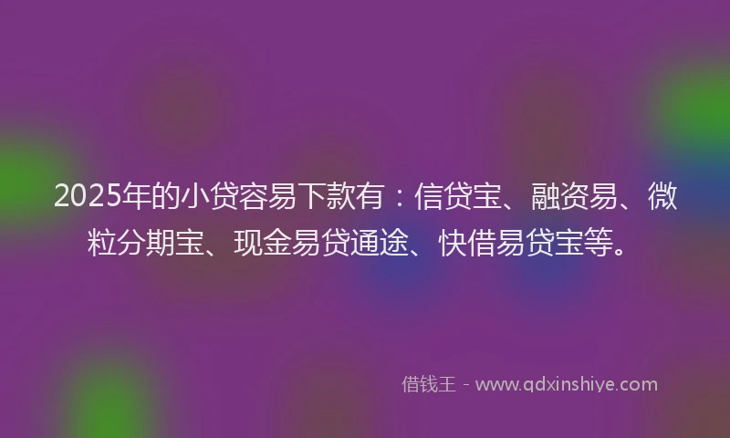 2025年的小贷容易下款有：信贷宝、融资易、微粒分期宝、现金易贷通途、快借易贷宝等。