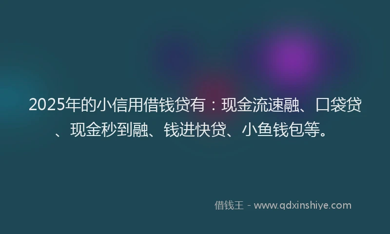 2025年的小信用借钱贷有：现金流速融、口袋贷、现金秒到融、钱进快贷、小鱼钱包等。