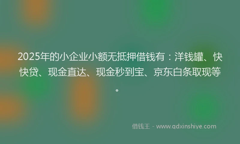 2025年的小企业小额无抵押借钱有：洋钱罐、快快贷、现金直达、现金秒到宝、京东白条取现等。