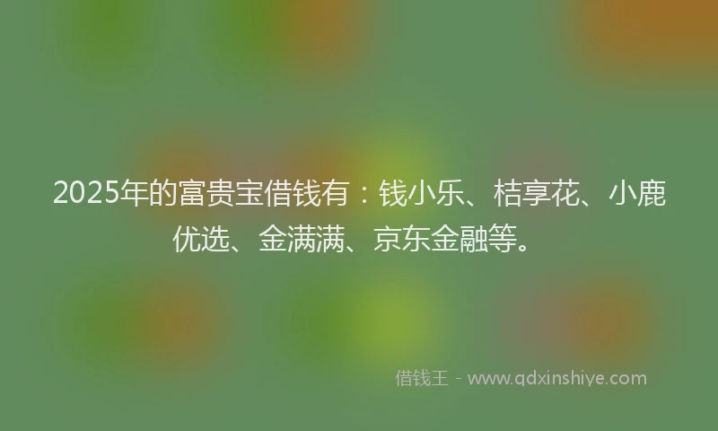 2025年的富贵宝借钱有：钱小乐、桔享花、小鹿优选、金满满、京东金融等。