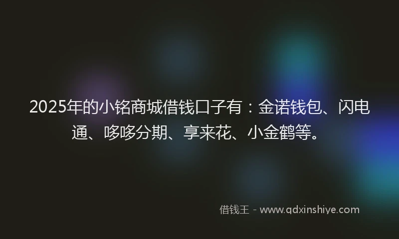 2025年的小铭商城借钱口子有：金诺钱包、闪电通、哆哆分期、享来花、小金鹤等。