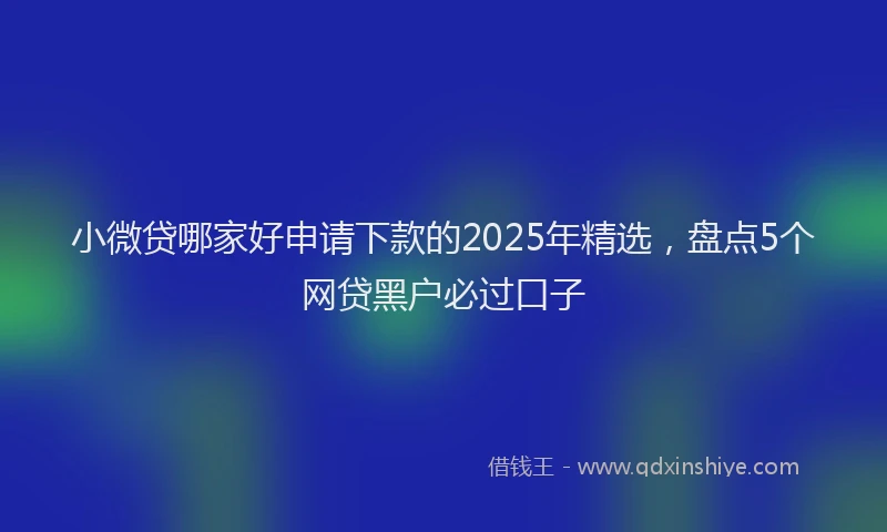 小微贷哪家好申请下款的2025年精选，盘点5个网贷黑户必过口子