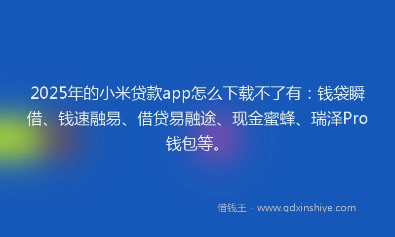 2025年的小米贷款app怎么下载不了有：钱袋瞬借、钱速融易、借贷易融途、现金蜜蜂、瑞泽Pro钱包等。