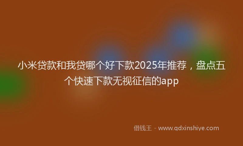 小米贷款和我贷哪个好下款2025年推荐，盘点五个快速下款无视征信的app