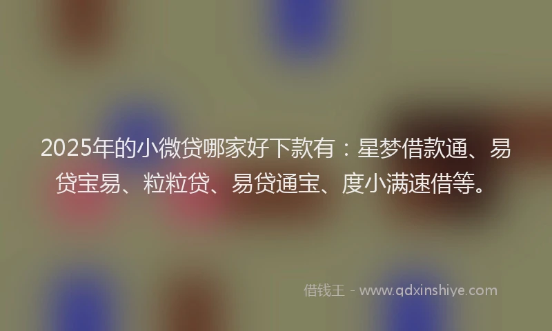 2025年的小微贷哪家好下款有：星梦借款通、易贷宝易、粒粒贷、易贷通宝、度小满速借等。