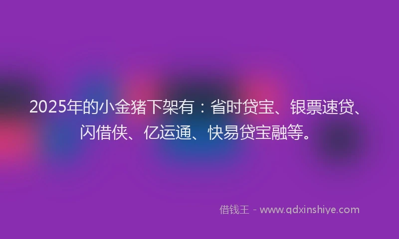 2025年的小金猪下架有：省时贷宝、银票速贷、闪借侠、亿运通、快易贷宝融等。