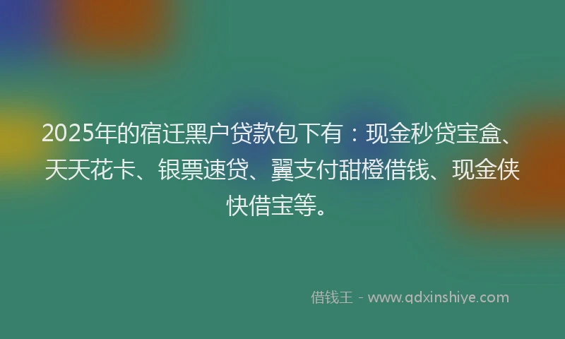 2025年的宿迁黑户贷款包下有：现金秒贷宝盒、天天花卡、银票速贷、翼支付甜橙借钱、现金侠快借宝等。