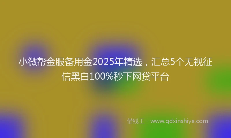 小微帮金服备用金2025年精选，汇总5个无视征信黑白100%秒下网贷平台
