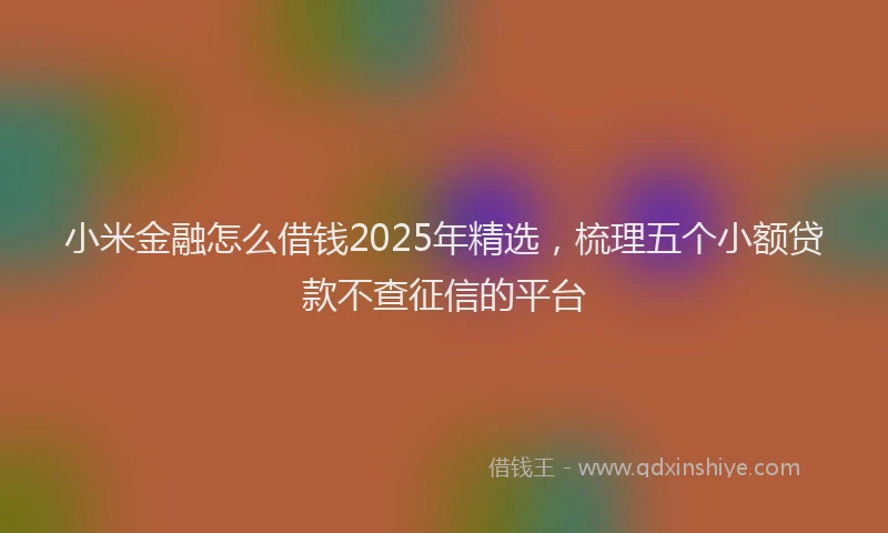 小米金融怎么借钱2025年精选，梳理五个小额贷款不查征信的平台