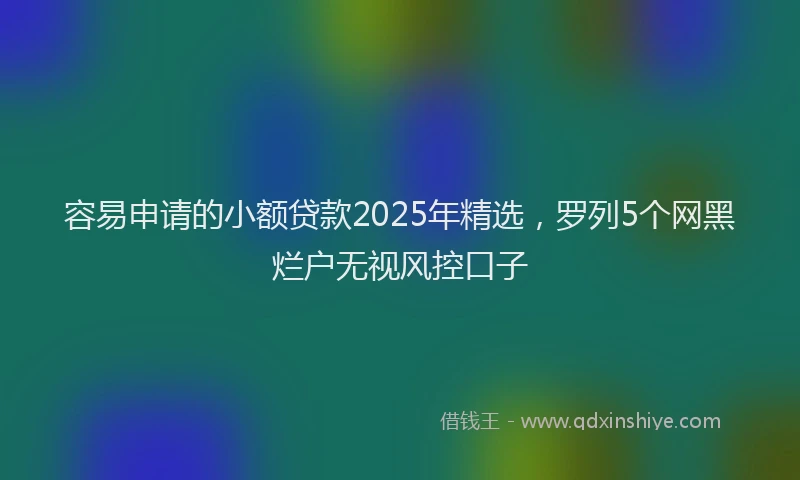 容易申请的小额贷款2025年精选，罗列5个网黑烂户无视风控口子