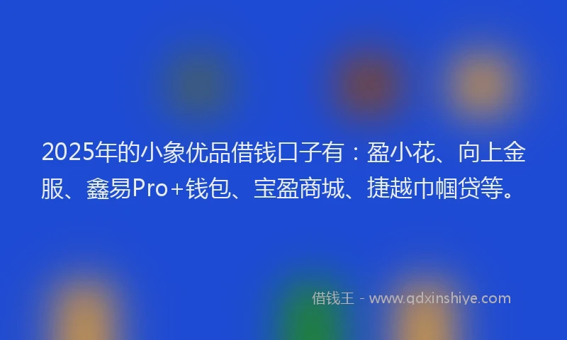 2025年的小象优品借钱口子有：盈小花、向上金服、鑫易Pro+钱包、宝盈商城、捷越巾帼贷等。