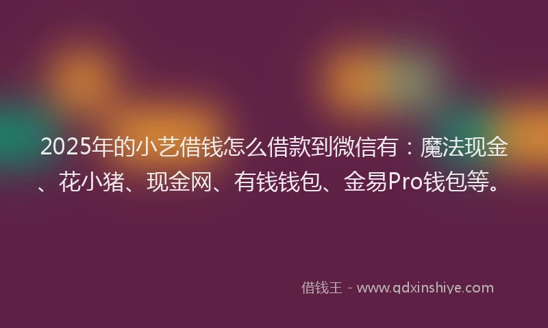 2025年的小艺借钱怎么借款到微信有：魔法现金、花小猪、现金网、有钱钱包、金易Pro钱包等。