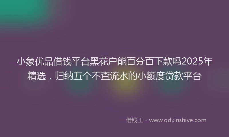 小象优品借钱平台黑花户能百分百下款吗2025年精选，归纳五个不查流水的小额度贷款平台