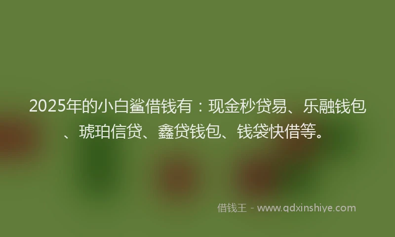 2025年的小白鲨借钱有：现金秒贷易、乐融钱包、琥珀信贷、鑫贷钱包、钱袋快借等。