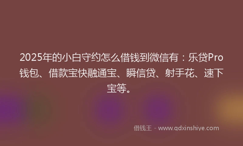 2025年的小白守约怎么借钱到微信有：乐贷Pro钱包、借款宝快融通宝、瞬信贷、射手花、速下宝等。