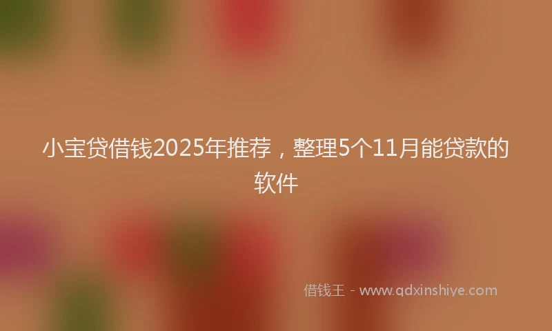 小宝贷借钱2025年推荐，整理5个11月能贷款的软件