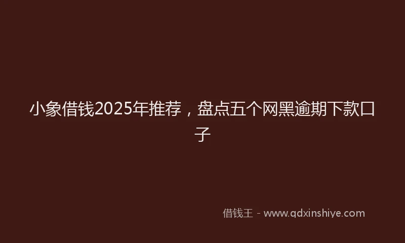 小象借钱2025年推荐，盘点五个网黑逾期下款口子