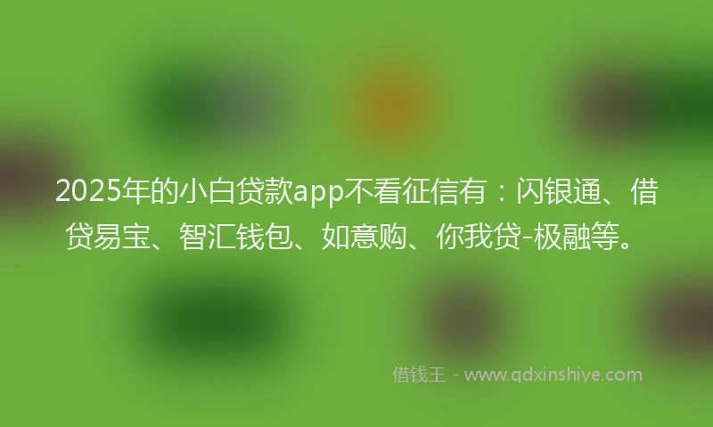 2025年的小白贷款app不看征信有：闪银通、借贷易宝、智汇钱包、如意购、你我贷-极融等。