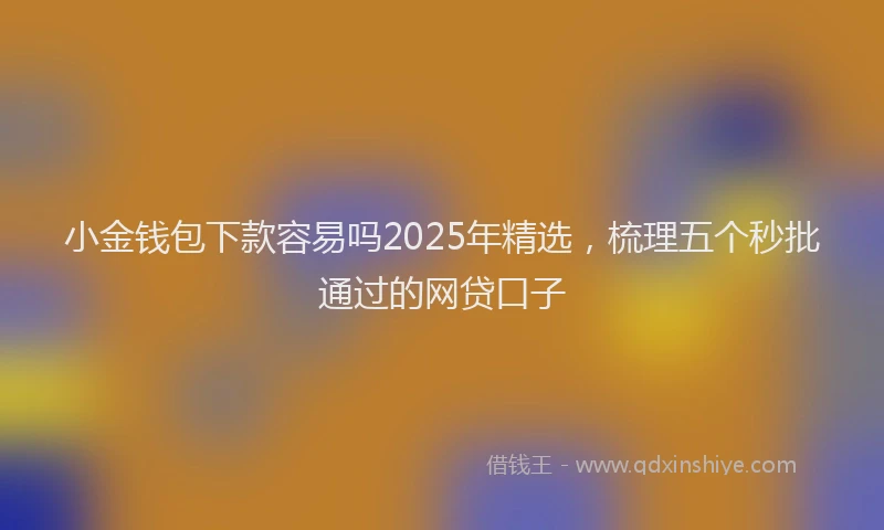 小金钱包下款容易吗2025年精选，梳理五个秒批通过的网贷口子