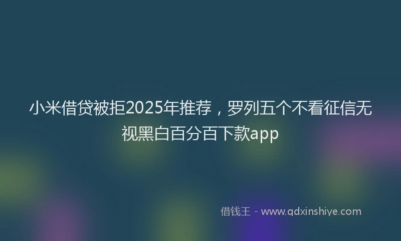 小米借贷被拒2025年推荐，罗列五个不看征信无视黑白百分百下款app