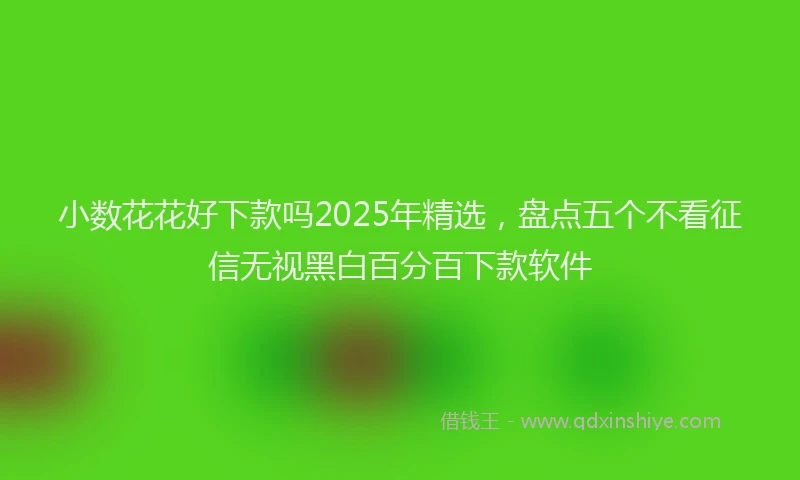 小数花花好下款吗2025年精选，盘点五个不看征信无视黑白百分百下款软件
