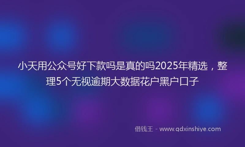 小天用公众号好下款吗是真的吗2025年精选，整理5个无视逾期大数据花户黑户口子