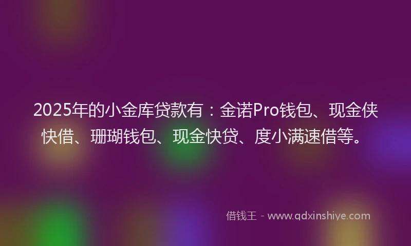 2025年的小金库贷款有：金诺Pro钱包、现金侠快借、珊瑚钱包、现金快贷、度小满速借等。
