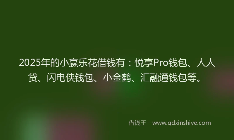 2025年的小赢乐花借钱有：悦享Pro钱包、人人贷、闪电侠钱包、小金鹤、汇融通钱包等。