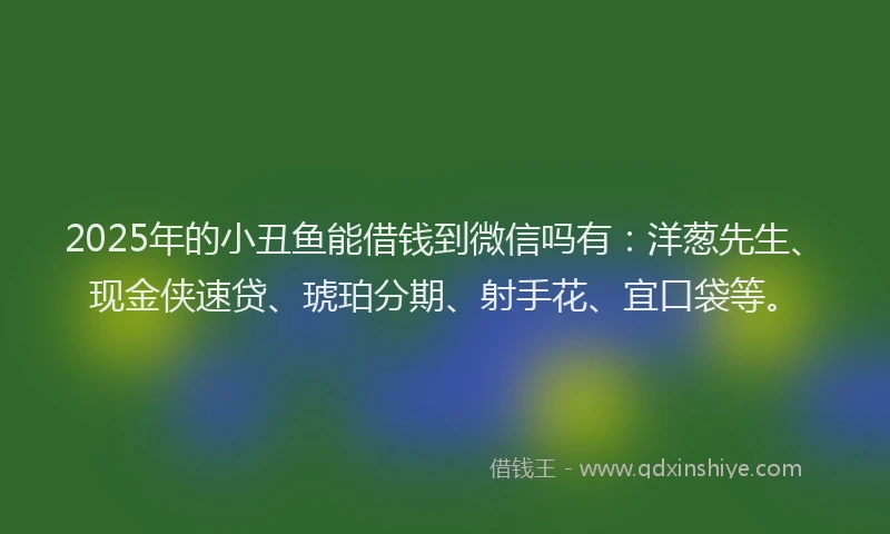 2025年的小丑鱼能借钱到微信吗有：洋葱先生、现金侠速贷、琥珀分期、射手花、宜口袋等。
