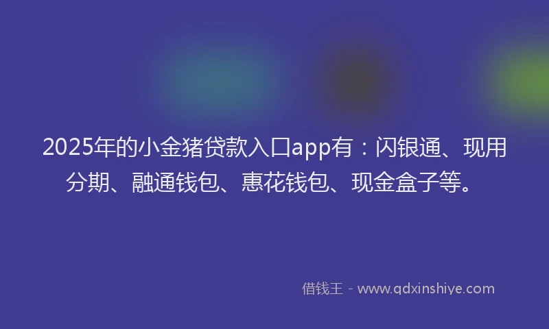 2025年的小金猪贷款入口app有：闪银通、现用分期、融通钱包、惠花钱包、现金盒子等。