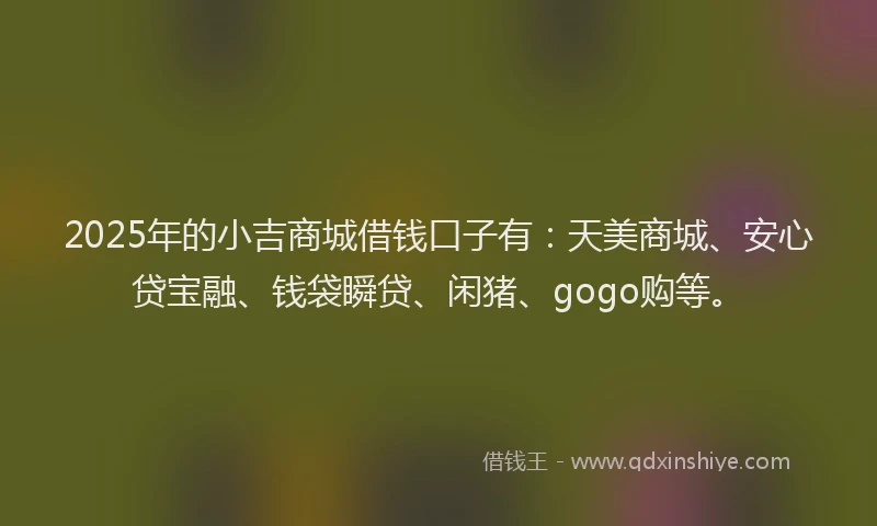 2025年的小吉商城借钱口子有：天美商城、安心贷宝融、钱袋瞬贷、闲猪、gogo购等。