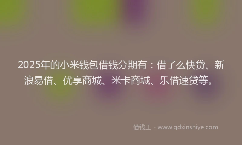 2025年的小米钱包借钱分期有：借了么快贷、新浪易借、优享商城、米卡商城、乐借速贷等。