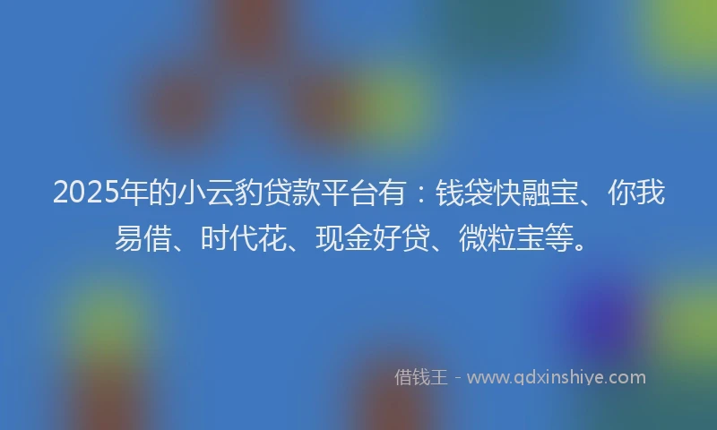 2025年的小云豹贷款平台有：钱袋快融宝、你我易借、时代花、现金好贷、微粒宝等。