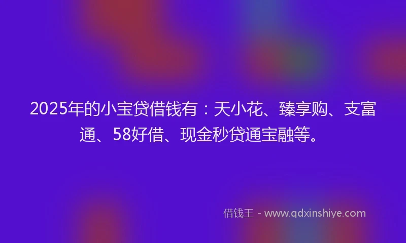 2025年的小宝贷借钱有：天小花、臻享购、支富通、58好借、现金秒贷通宝融等。