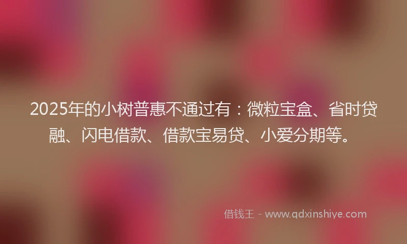 2025年的小树普惠不通过有：微粒宝盒、省时贷融、闪电借款、借款宝易贷、小爱分期等。