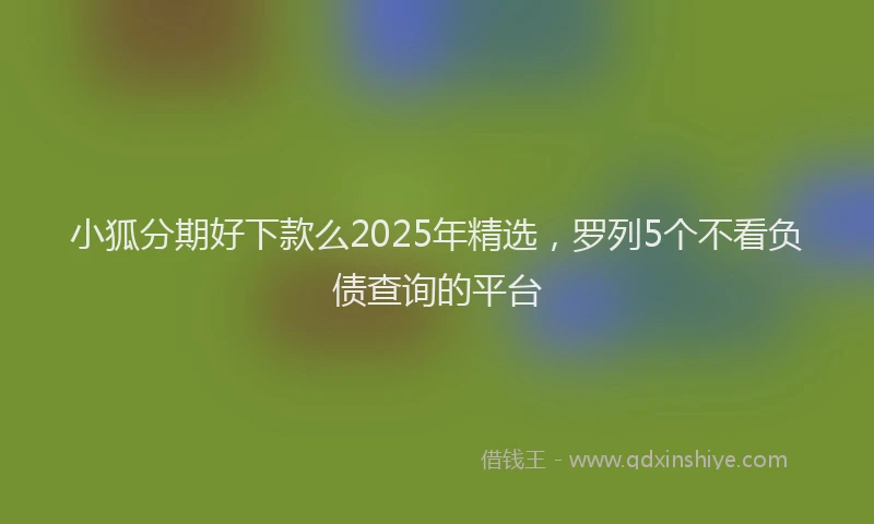 小狐分期好下款么2025年精选，罗列5个不看负债查询的平台